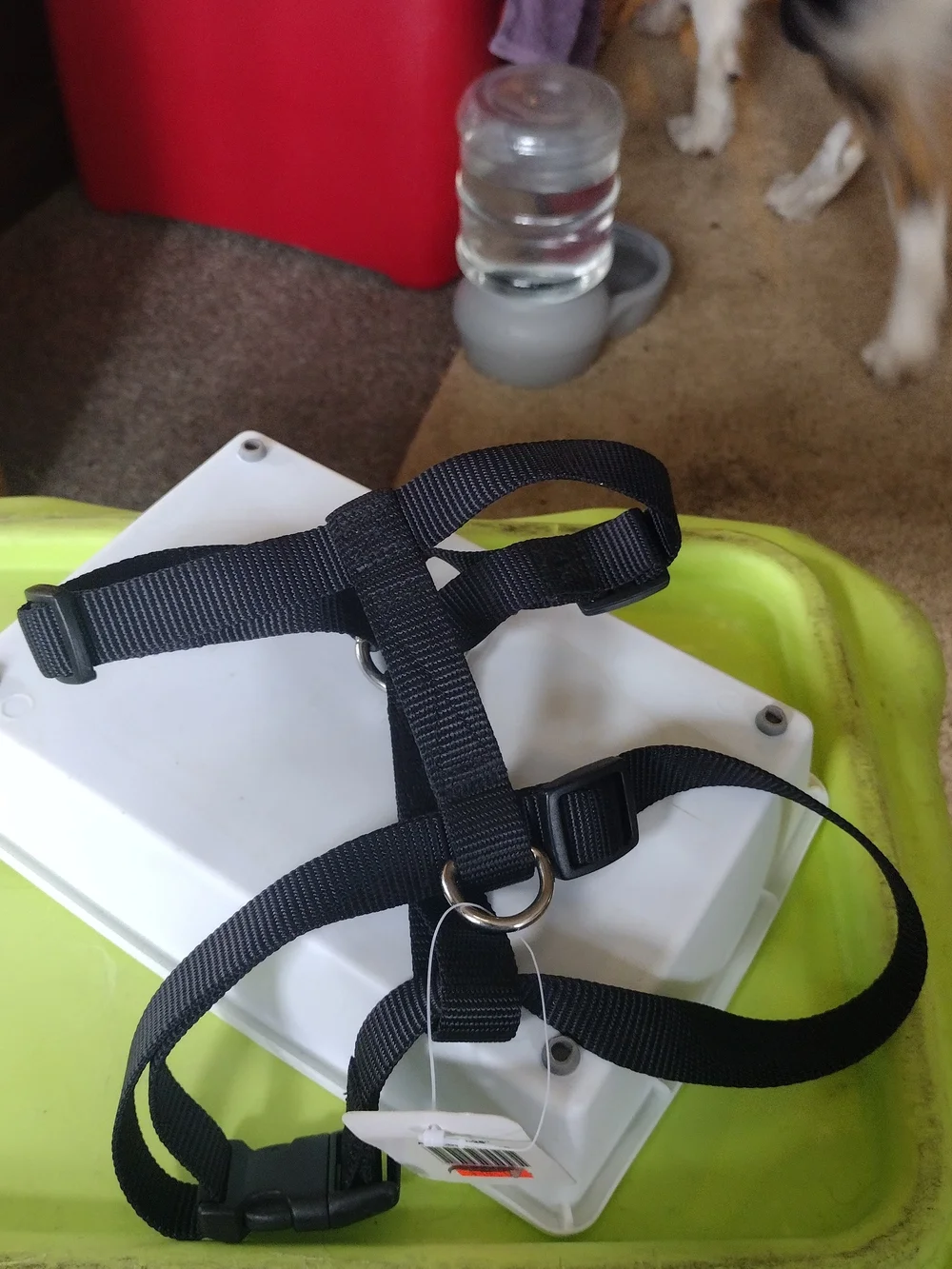 Adjustable Black Nylon Dog Harness